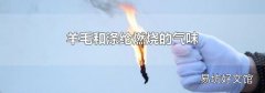 羊毛和涤纶燃烧的气味