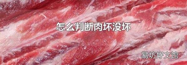 怎么判断肉坏没坏