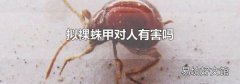拟裸蛛甲对人有害吗