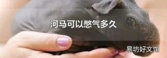 河马可以憋气多久