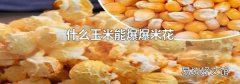 什么玉米能爆爆米花