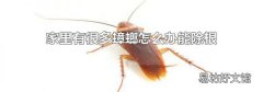 家里有很多蟑螂怎么办能除根