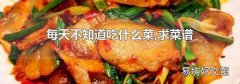 每天不知道吃什么菜,求菜谱