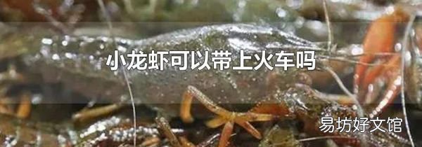 小龙虾可以带上火车吗