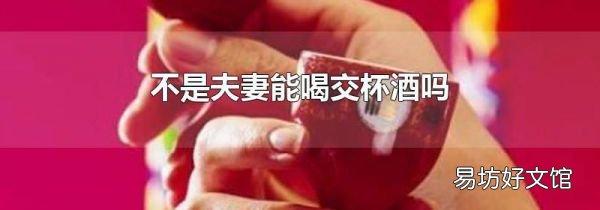 不是夫妻能喝交杯酒吗