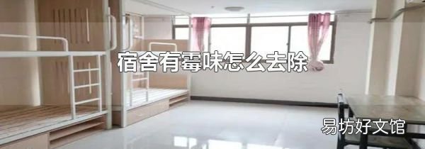 宿舍有霉味怎么去除