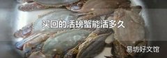 买回的活螃蟹能活多久