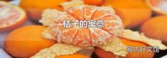 桔子的寓意