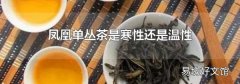 凤凰单丛茶是寒性还是温性