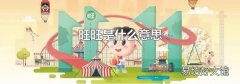 旺旺是什么意思