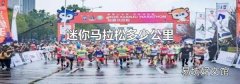 迷你马拉松多少公里