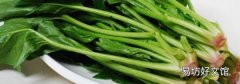 菠菜汁怎么榨汁