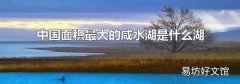 中国面积最大的咸水湖是什么湖