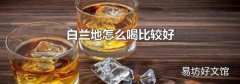 白兰地怎么喝比较好