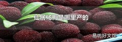 仙居杨梅是哪里产的