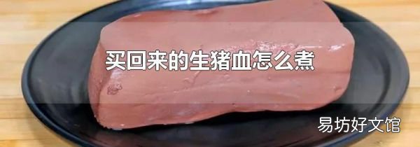 买回来的生猪血怎么煮