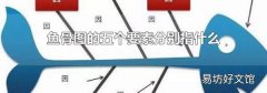 鱼骨图的五个要素分别指什么