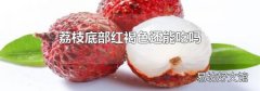 荔枝底部红褐色还能吃吗