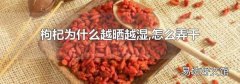 枸杞为什么越晒越湿,怎么弄干