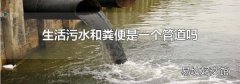 生活污水和粪便是一个管道吗