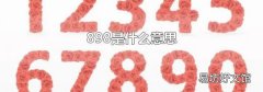 898是什么意思