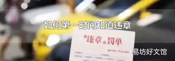 如何第一时间知道违章
