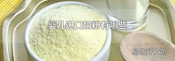 婴儿进口奶粉有哪些