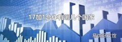 17加1合作有哪几个国家