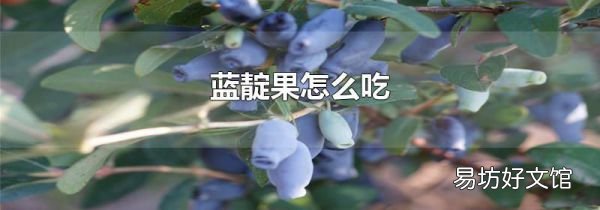 蓝靛果怎么吃