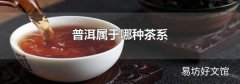 普洱属于哪种茶系