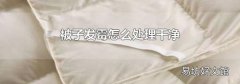 被子发霉怎么处理干净