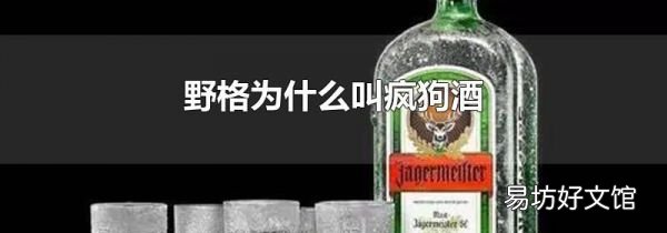 野格为什么叫疯狗酒