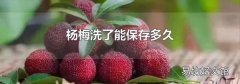 杨梅洗了能保存多久