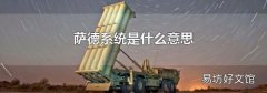 萨德系统是什么意思