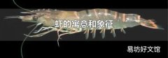 虾的寓意和象征