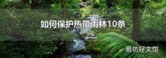 如何保护热带雨林10条