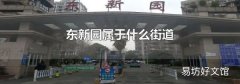 东新园属于什么街道