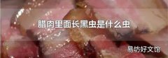 腊肉里面长黑虫是什么虫