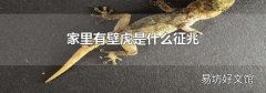 家里有壁虎是什么征兆