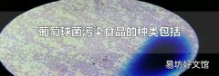 葡萄球菌污染食品的种类包括