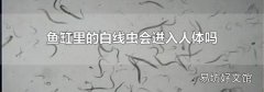 鱼缸里的白线虫会进入人体吗