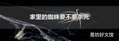家里的蜘蛛要不要杀死