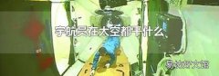 宇航员在太空都干什么