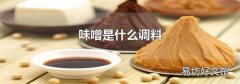 味噌是什么调料