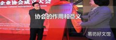 协会的作用和意义