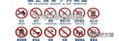 针可以带上高铁吗