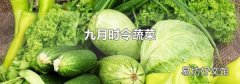九月时令蔬菜