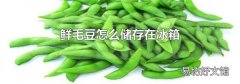 鲜毛豆怎么储存在冰箱