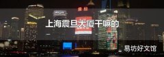 上海震旦大厦干嘛的