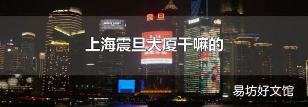上海震旦大厦干嘛的